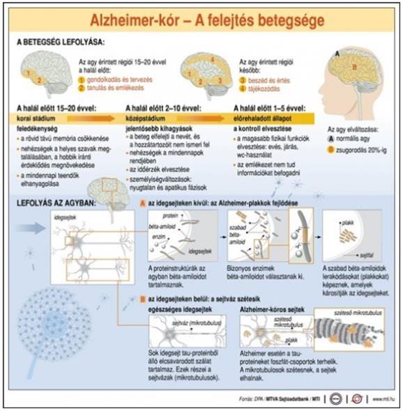 Forrás: medicalonline.hu